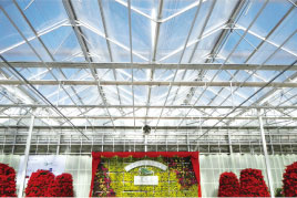 ETFE膜双屋脊大跨度新型温室