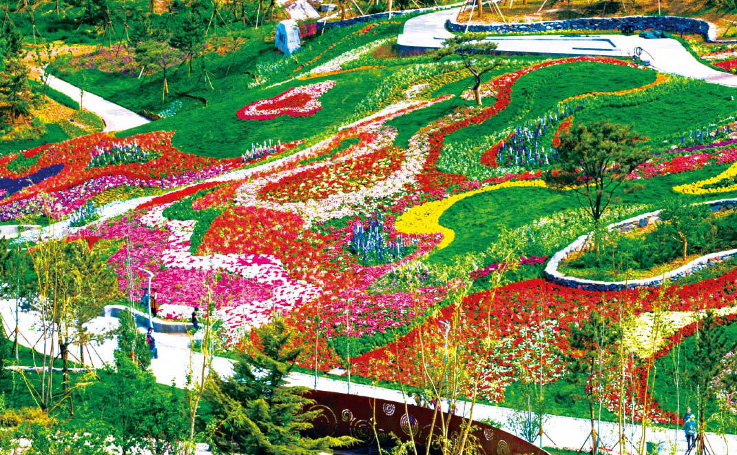 中国国际园林博览会花卉布置 北京·丰台