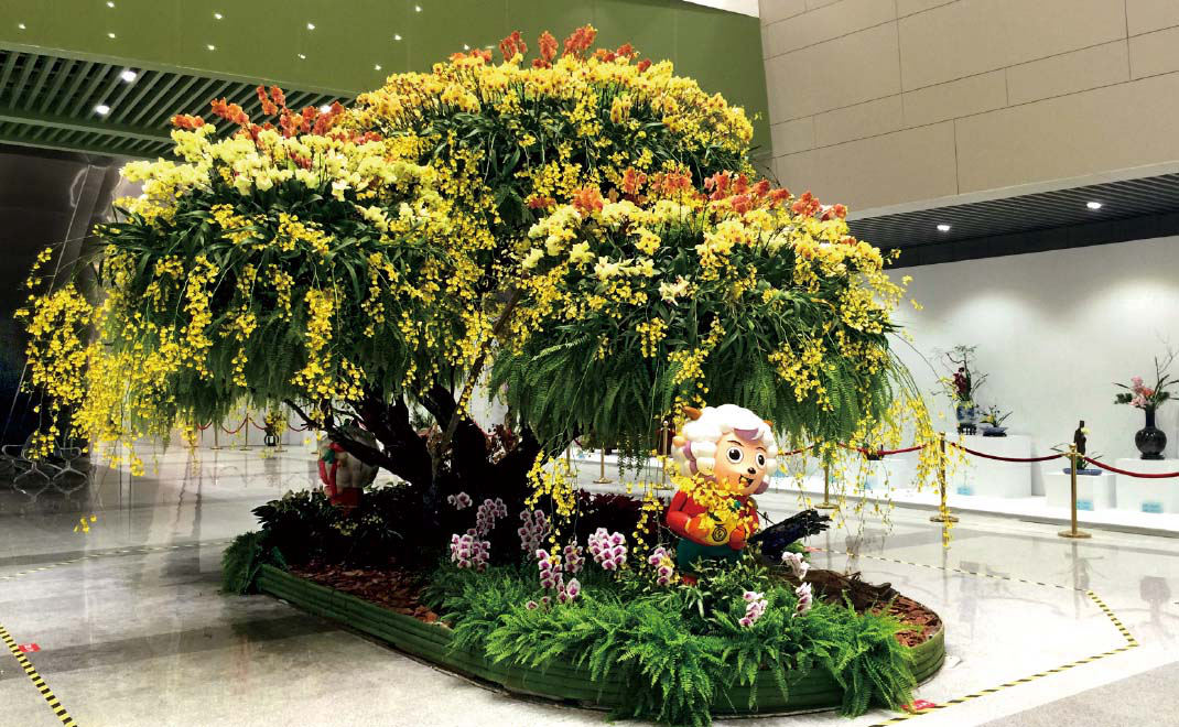 2015年·第四届中国兰花大会景观布置作品-文心兰树
