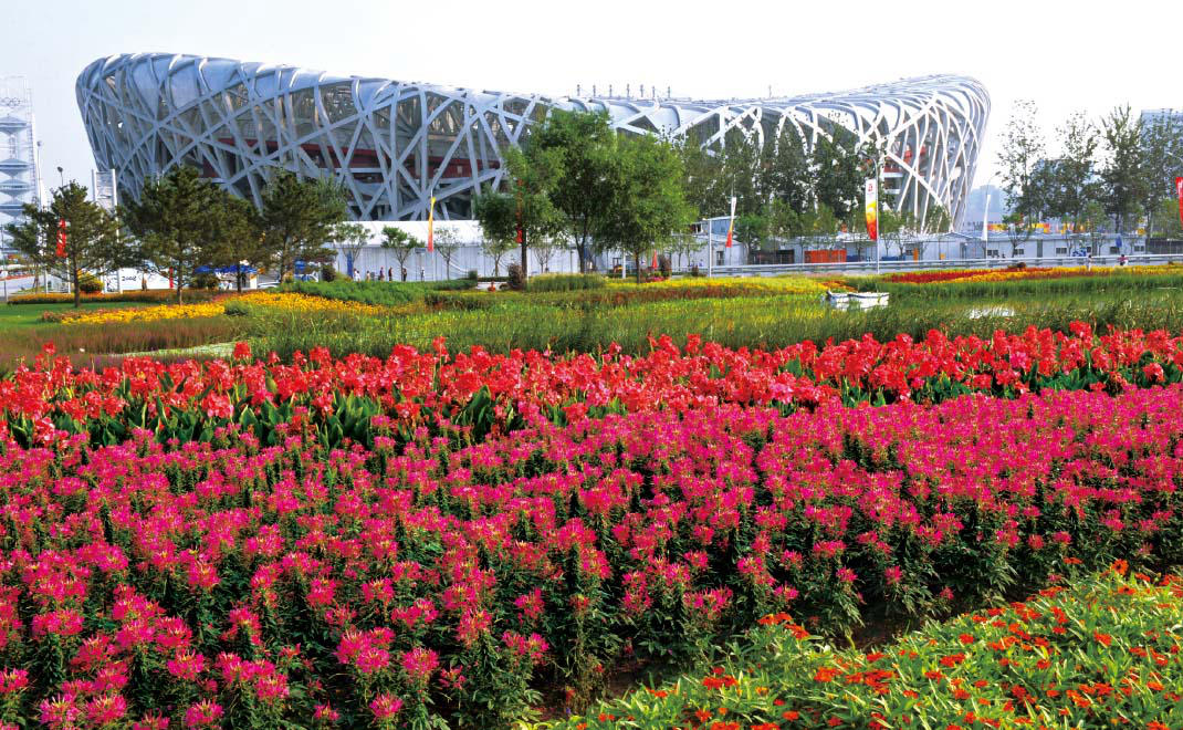 奥运花卉布置·奥林匹克中心区及场馆周边花卉布置