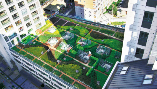 2011年·幸福三村屋顶花园绿化工程